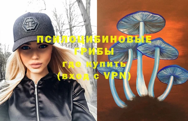 ПСИЛОЦИБИНОВЫЕ ГРИБЫ Новодвинск