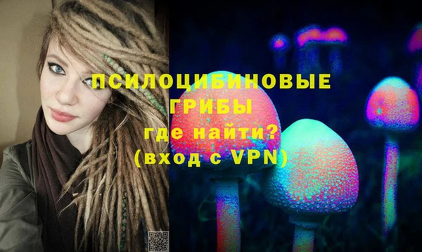 ALPHA PVP Новозыбков