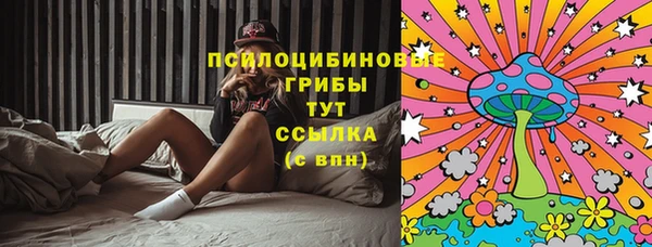 ПСИЛОЦИБИНОВЫЕ ГРИБЫ Новодвинск