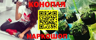 эйфоретик Заводоуковск