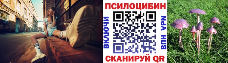 площадка формула  Сухой Лог  Галлюциногенные грибы Magic Shrooms 