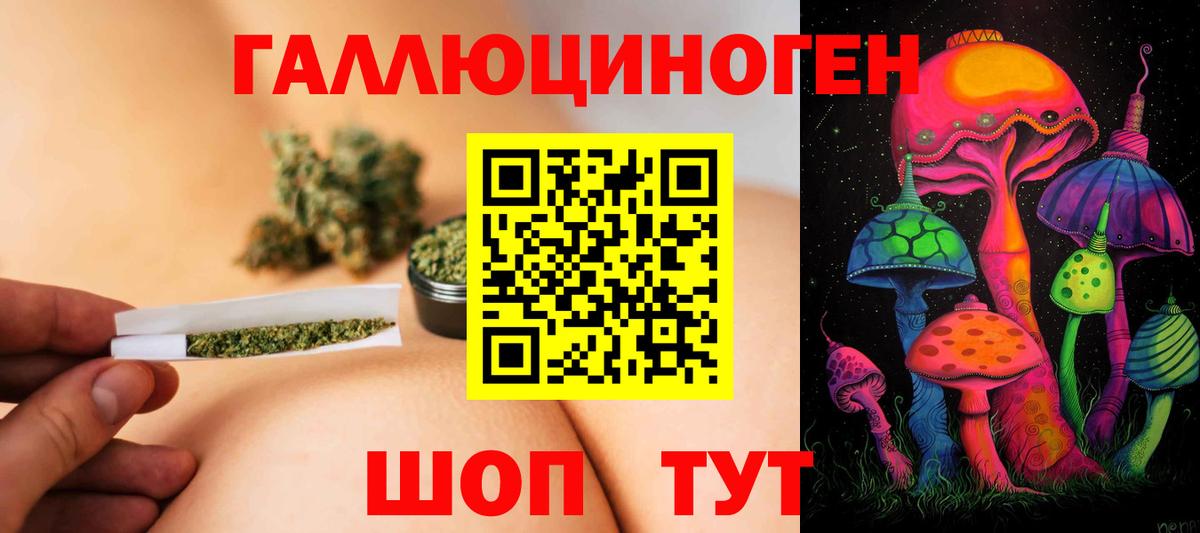 Галлюциногенные грибы GOLDEN TEACHER  Вход с VPN  Сухой Лог  Галлюциногенные грибы Psilocybe 